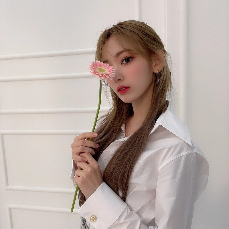 210317 IZ*ONE Twitter Update - Sakura documents 3