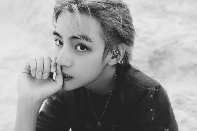 V - 'Layover' Concept Photo documents 14