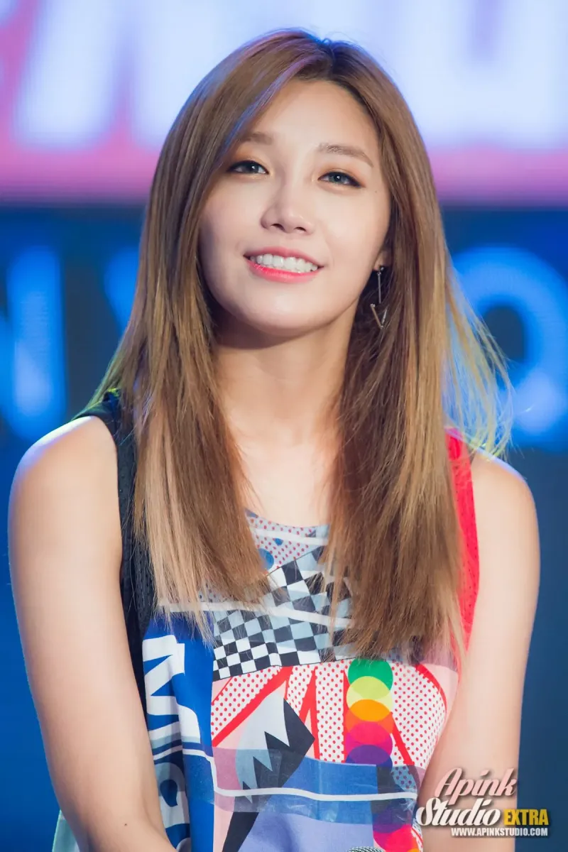 Apink_150720_apinkstudio.com-326_004.jpg