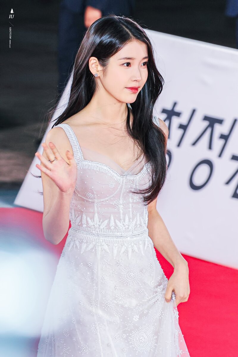 221125 IU at 43rd Blue Dragon Film Awards Red Carpet documents 10
