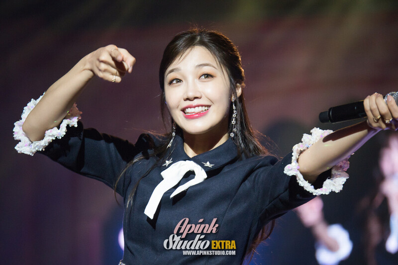 161218 Apink EUNJI - '2016 PINK PARTY' Concert Day 2 documents 20