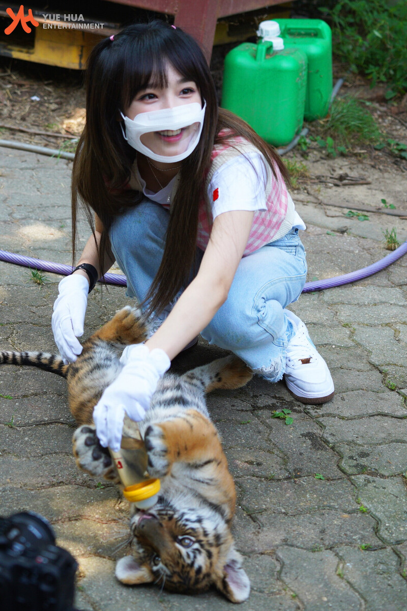 210901 Yuehua Naver Post - Yena Animal Detective Behind documents 22