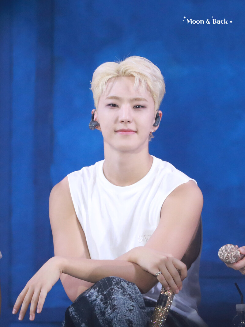 240724 SEVENTEEN Hoshi - CARATLAND 2024 Day 2 documents 2