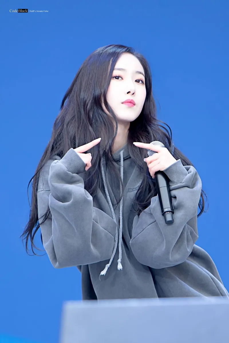 Sinb506.jpg