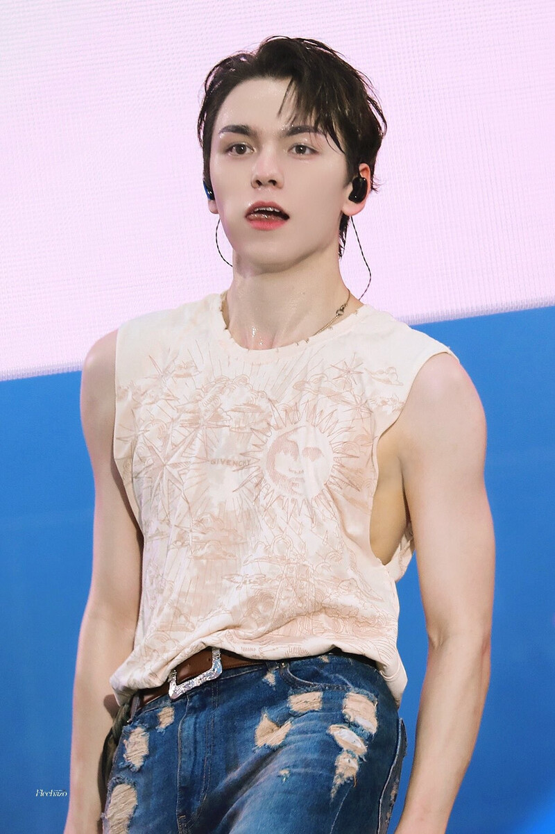 240909 SEVENTEEN Vernon - Lollapalooza in Berlin documents 4