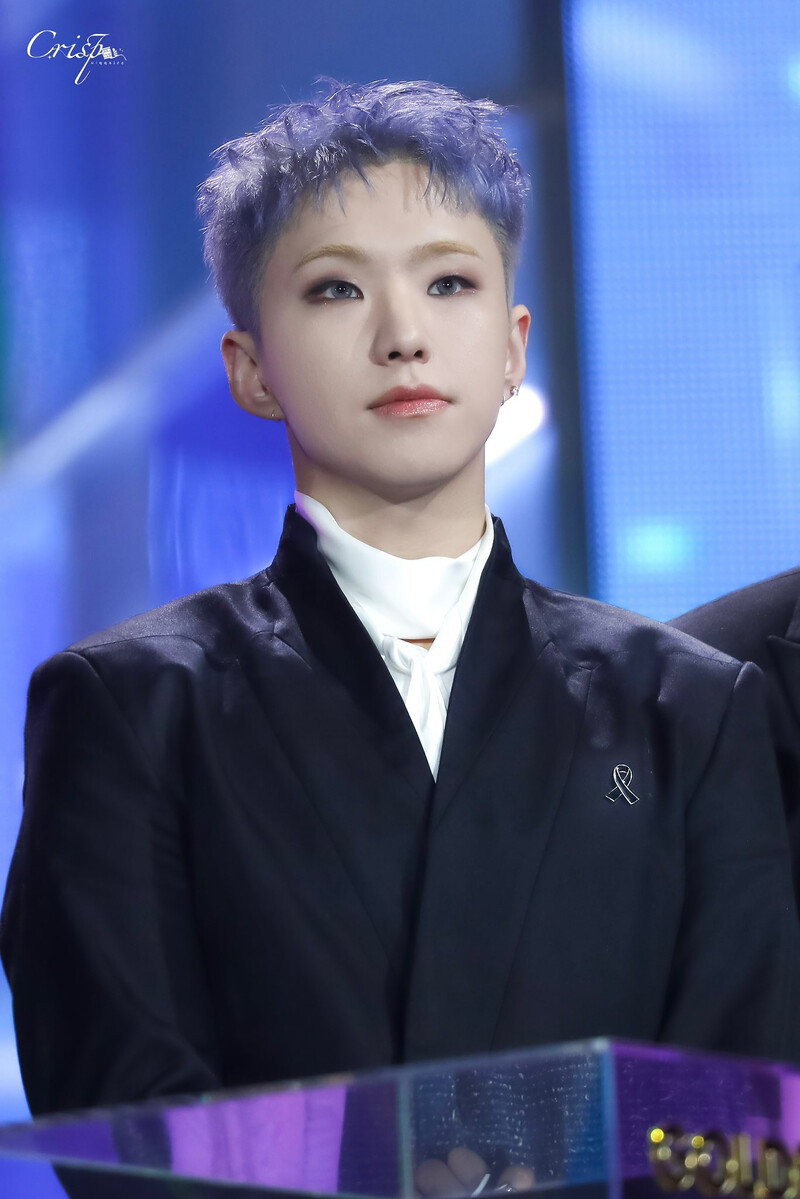 250105 SEVENTEEN Hoshi at Golden Disc Awards 2025 documents 1