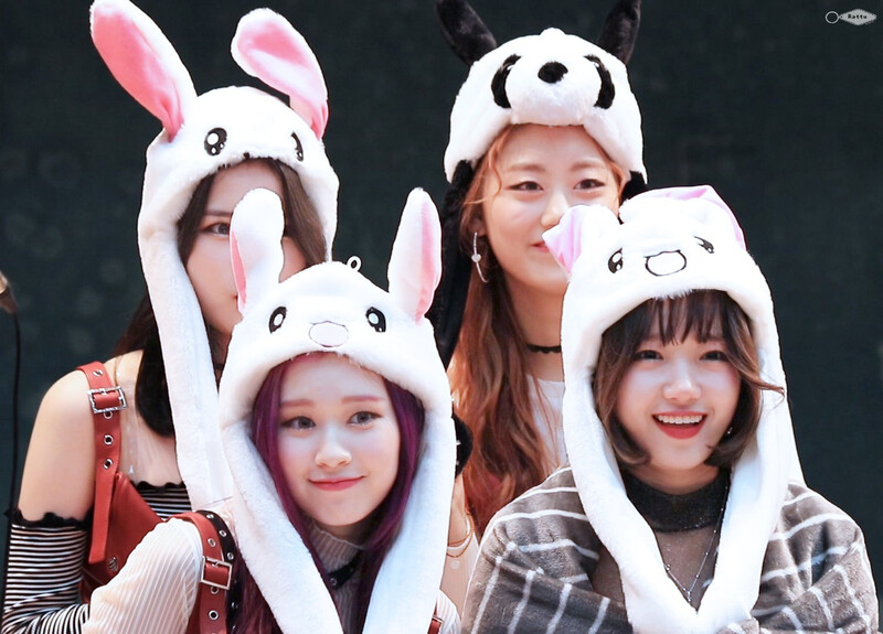 181111 Weki Meki at 'KISS, KICKS' Gangnam Fansign documents 1