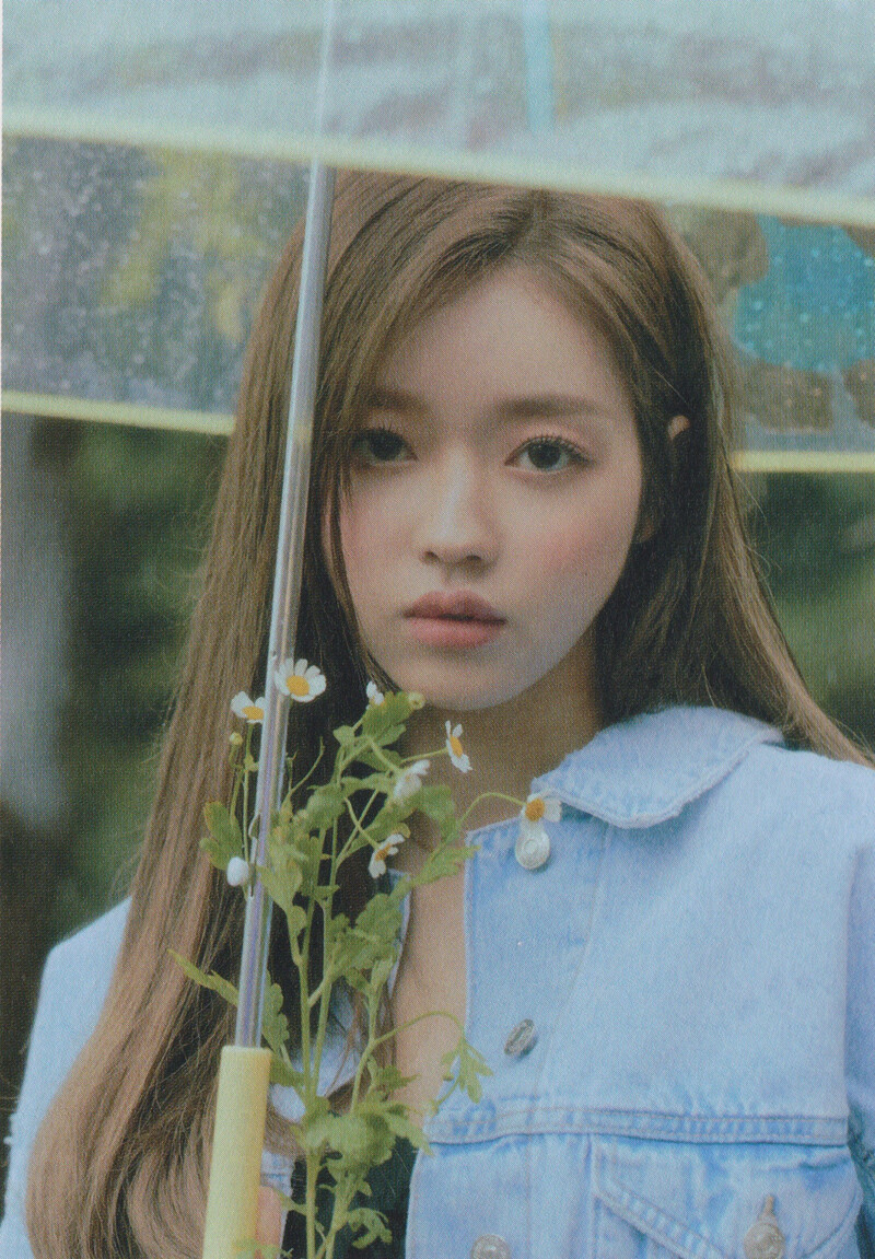 OH MY GIRL 'Dear OHMYGIRL' Album Scans documents 13