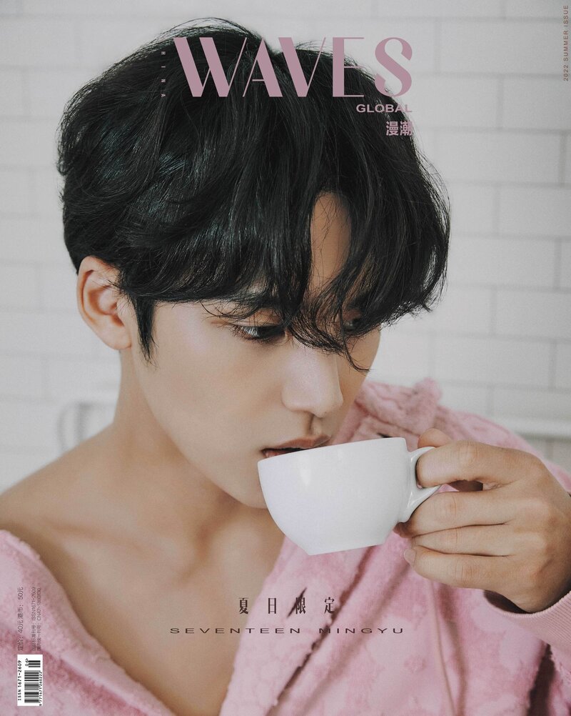 Mingyu for WAVES Magazine Summer 2022 Issue documents 1