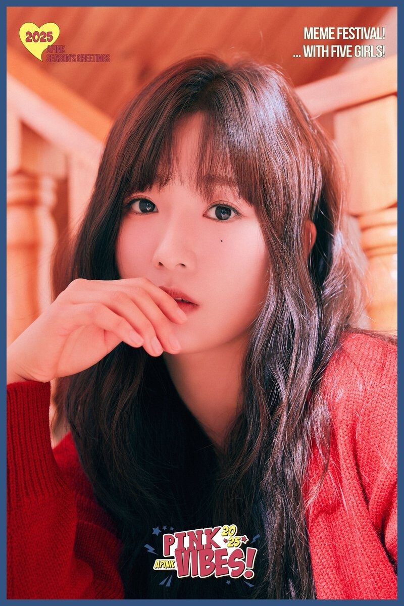 2025 Apink Season’s Greetings 'Pink Vibes' concept teasers documents 5