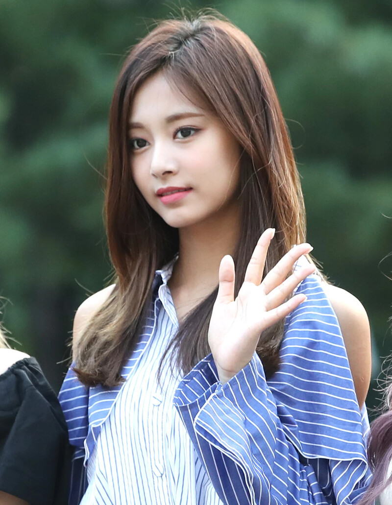 180720 TWICE Tzuyu documents 17