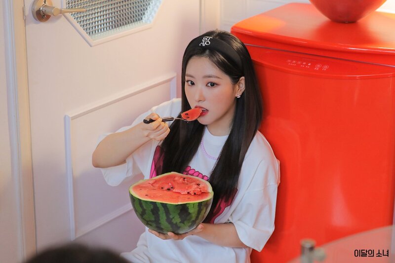 LOONA Fancafe - 2022 Summer Package Behind Photos documents 10