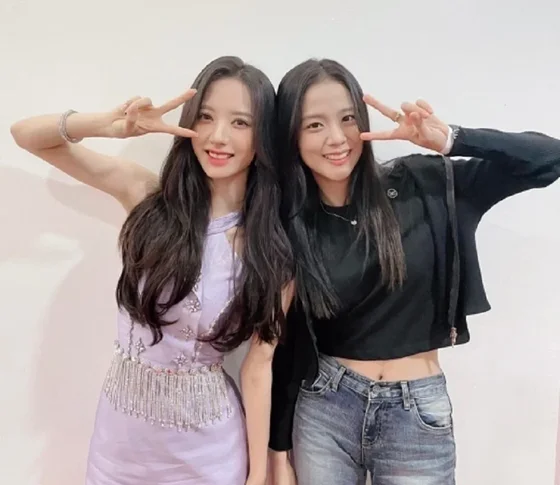 BLACKPINK's Jisoo shows support for WJSN's Bona at her group's concert