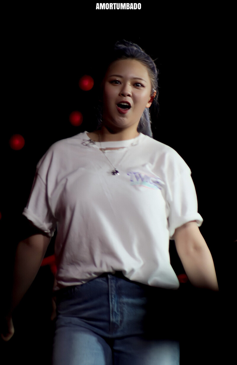 220514 TWICE Jeongyeon - 4th World Tour ‘Ⅲ’ Encore in Los Angeles Day 1 documents 2