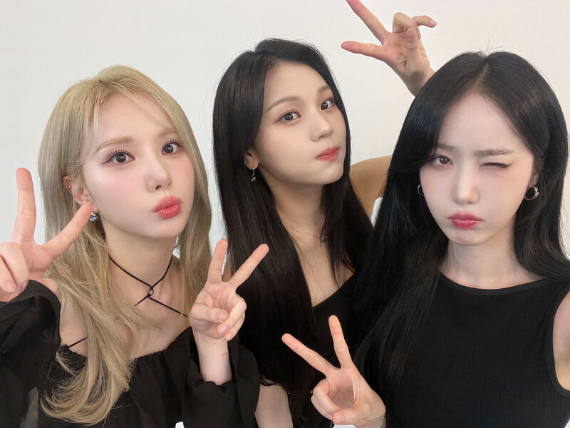 240827-VIVIZ Twitter update documents 1