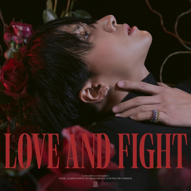 RAVI 'LOVE & FIGHT' Concept Teasers documents 1