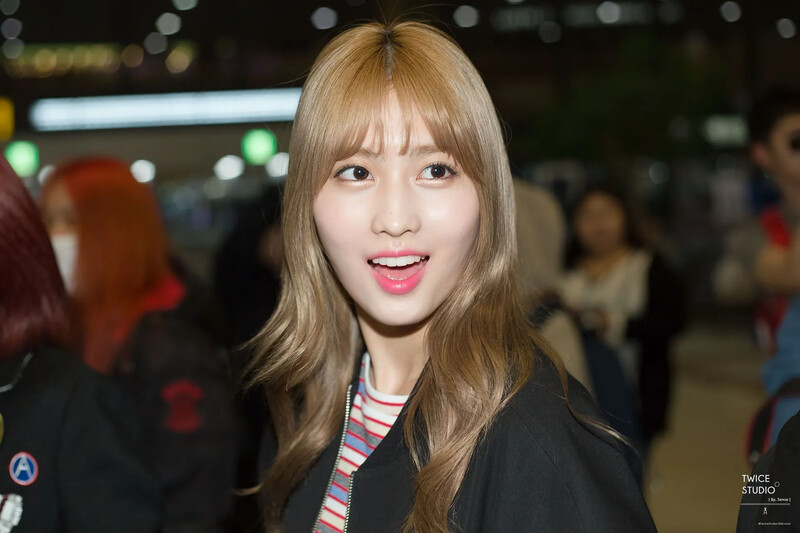 Momo572.jpg