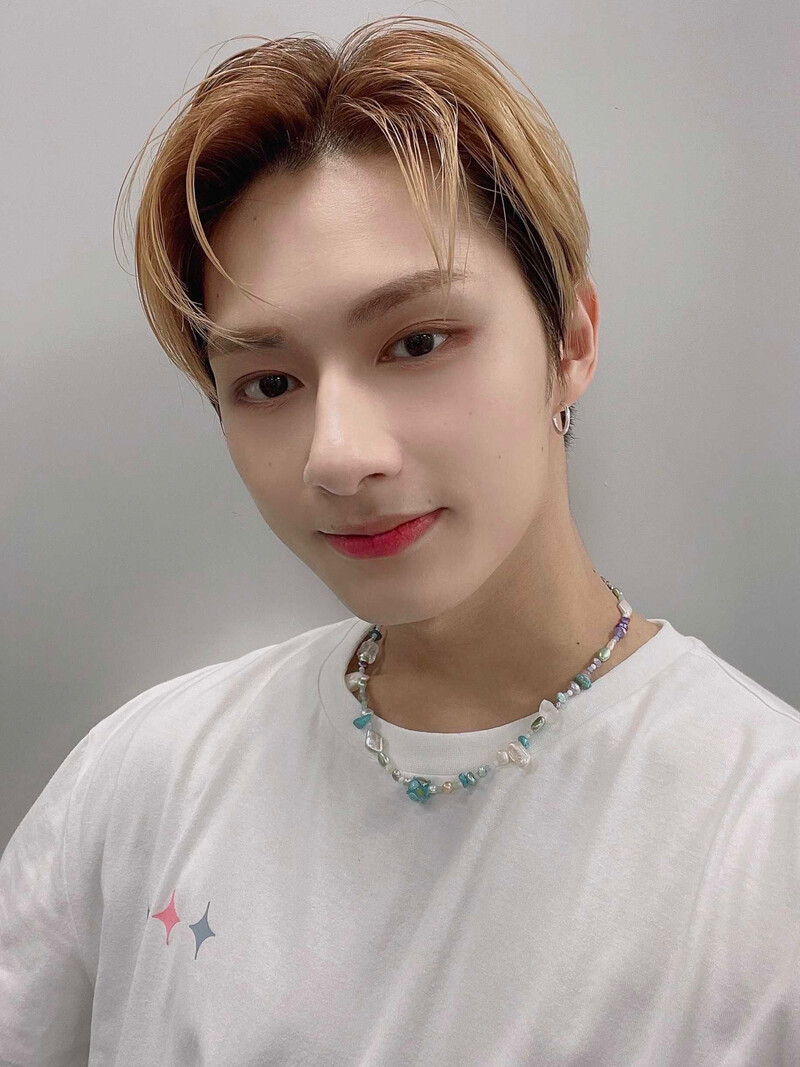 220508 SEVENTEEN Twitter Update - Jun documents 1