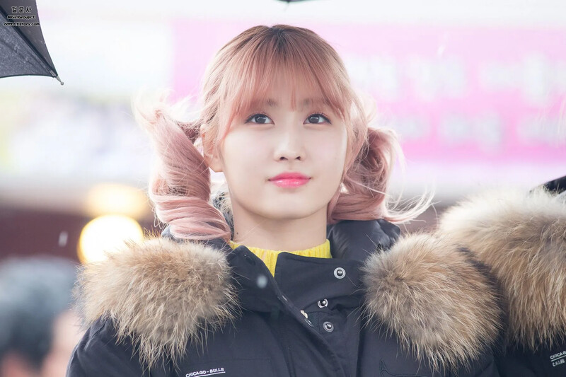 Momo595.jpg