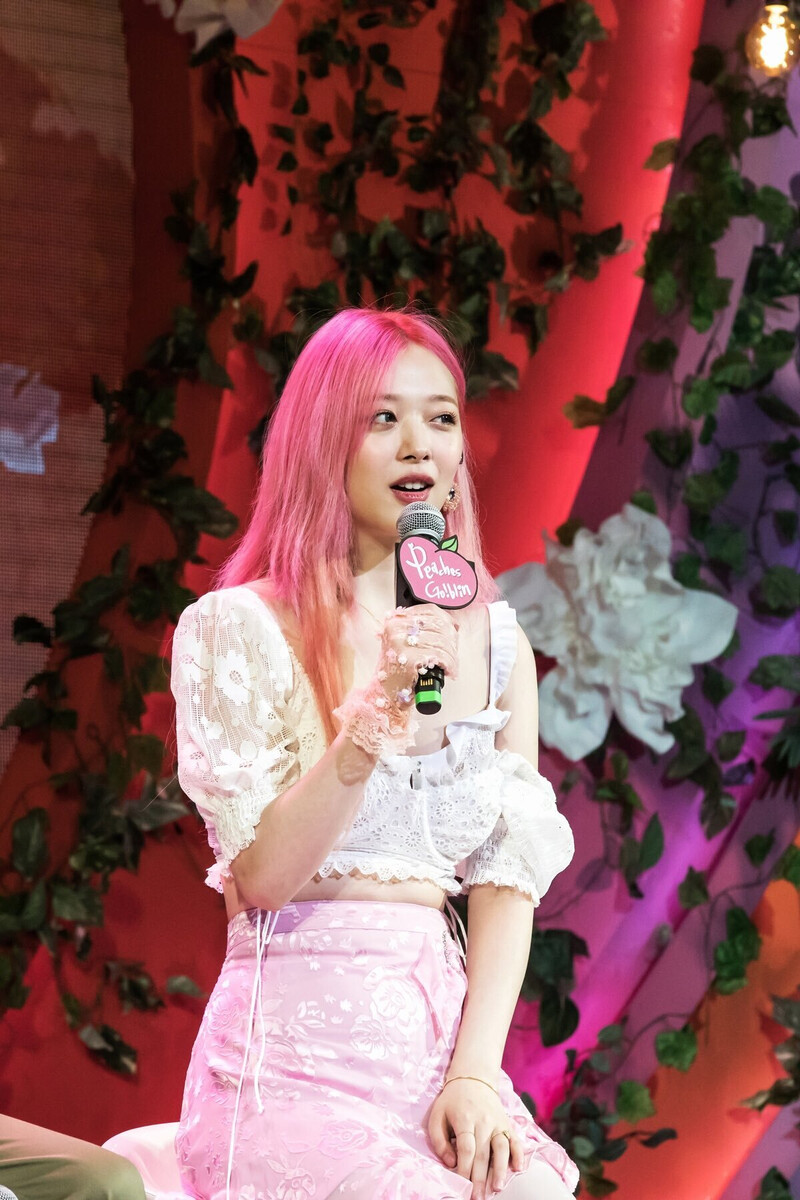 190629 SULLI -  Special Stage "Peaches Go!blin" documents 2