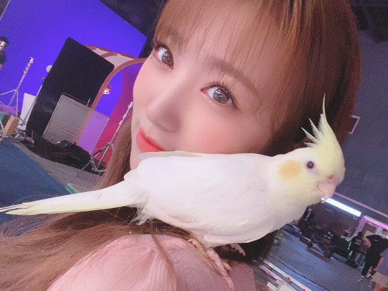 201007 IZ*ONE Twitter/X Update - Nako documents 1