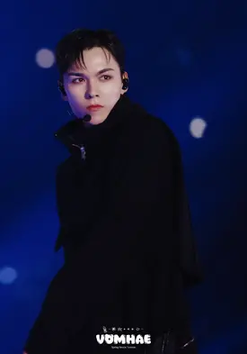 241123 Seventeen Vernon at 2024 MAMA Awards Day 3