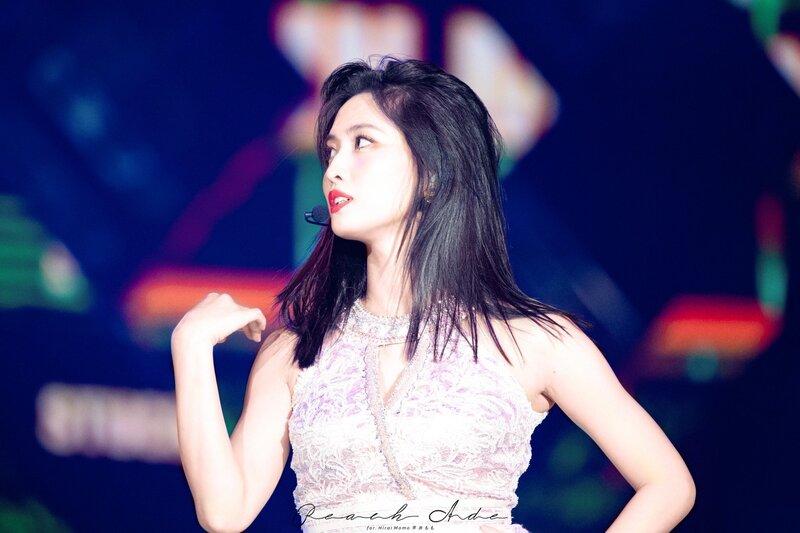 200104 TWICE Momo - 34th Golden Disc Awards Day 1 documents 1