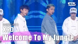 XRO - Welcome To My Jungle @인기가요 inkigayo 20200726