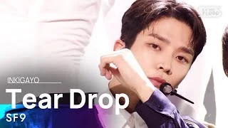 SF9(에스에프나인) - Tear Drop @인기가요 inkigayo 20210718