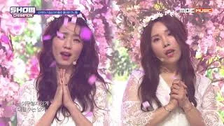 Show Champion EP.329 셀럽파이브 - 안 본 눈 삽니다 (Celeb Five - I wish I could unsee that)