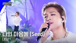 '최초 공개/4K' 태양 - 나의 마음에 (Seed) #엠카운트다운 EP.794 | Mnet 230427 방송