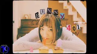 bunny-401