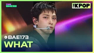 BAE173, WHAT [THE SHOW 240625]
