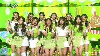 Music Bank 뮤직뱅크 - I.O.I 아이오아이- Vary Vary Vary 너무너무너무.20161104