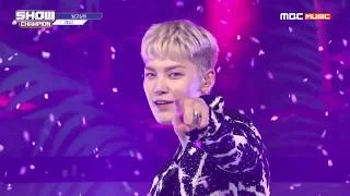 Show Champion EP.324  ZELO   Questions
