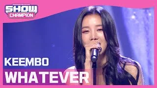 [Show Champion] 킴보 - 왓에버 (KEEMBO - WHATEVER) l EP.393