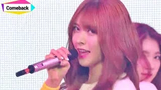 [Comeback stage] HELLOVENUS - Wiggle Wiggle, 헬로 비너스 - 위글위글, Show Music core 20150103