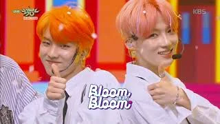 Bloom Bloom - THE BOYZ(더보이즈) [뮤직뱅크 Music Bank] 20190503