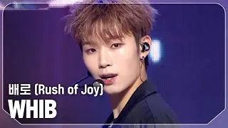 휘브(WHIB) - 배로 (Rush of Joy) l Show Champion l EP.537 l 241023