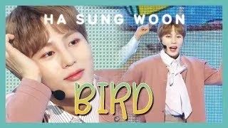 [HOT] HA SUNG WOON - BIRD , 하성운 - BIRD Show Music core 20190309