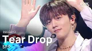 SF9(에스에프나인) - Tear Drop @인기가요 inkigayo 20210711