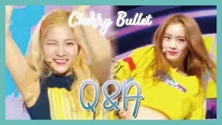 [HOT] Cherry Bullet  - Q&A, 체리블렛 - Q&A Music core 20190216