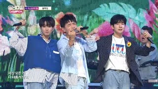 Show Champion EP.273 The East Light - Love Flutters