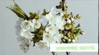 HYNN - Ballad for Spring
