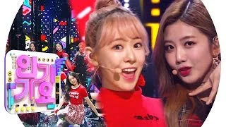 Cherry Bullet(체리블렛) - Q&A @인기가요 Inkigayo 20190303