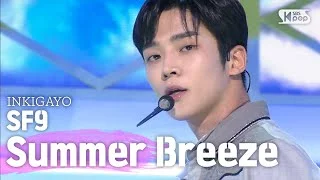 SF9(에스에프나인) - Summer Breeze(여름 향기가 날 춤추게 해) @인기가요 inkigayo 20200712