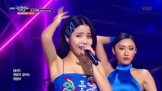 gogobebe(고고베베) - 마마무 (MAMAMOO) [뮤직뱅크 Music Bank] 20190322