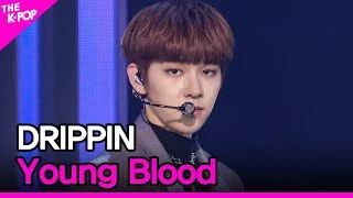 DRIPPIN, Young Blood (드리핀, Young Blood) [THE SHOW 210413]