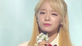 《MOURNFUL》 SEJEONG(gugudan) (세정(구구단)) - Flower way (꽃길) @인기가요 Inkigayo 20161204