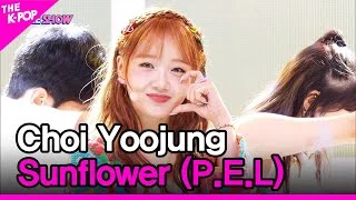 Choi Yoojung, Sunflower (P.E.L) (최유정, Sunflower (P.E.L)) [THE SHOW 220920]